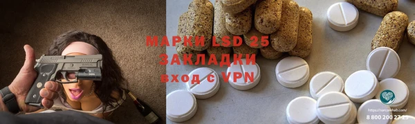 мдпв Горнозаводск
