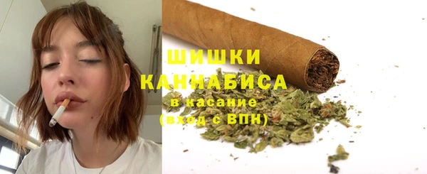 стафф Вяземский
