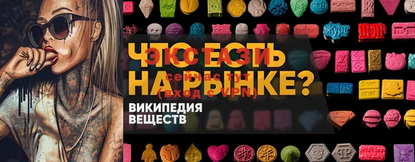 мдпв Горнозаводск