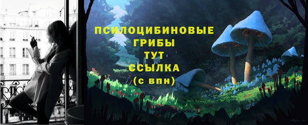 мдпв Горнозаводск