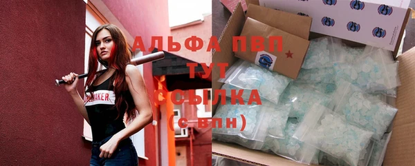 стафф Вяземский